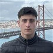 Laureando in ingegneria gestionale, offro ripetizioni di matematica e fisica